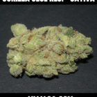 mmj4ca-gorilla-glue-reserve-sativa-strain-front-the-best-marijuana-delivery-for-los-angeles