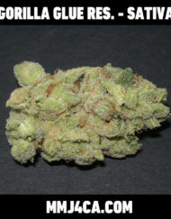 mmj4ca-gorilla-glue-reserve-sativa-strain-front-the-best-marijuana-delivery-for-los-angeles