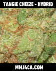 mmj4ca-tangie-cheeze-hybrid-strain-front-the-best-marijuana-delivery-for-los-angeles