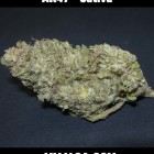 MMJ4CA-AK47-back-medical-marijuana-strain-the-best-marijuana-delivery-for-los-angeles