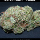 MMJ4CA-DUTCH-TREAT-hybrid-strain-front-the-best-marijuana-delivery-for-los-angeles
