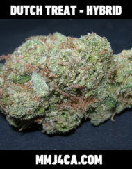 MMJ4CA-DUTCH-TREAT-hybrid-strain-front-the-best-marijuana-delivery-for-los-angeles